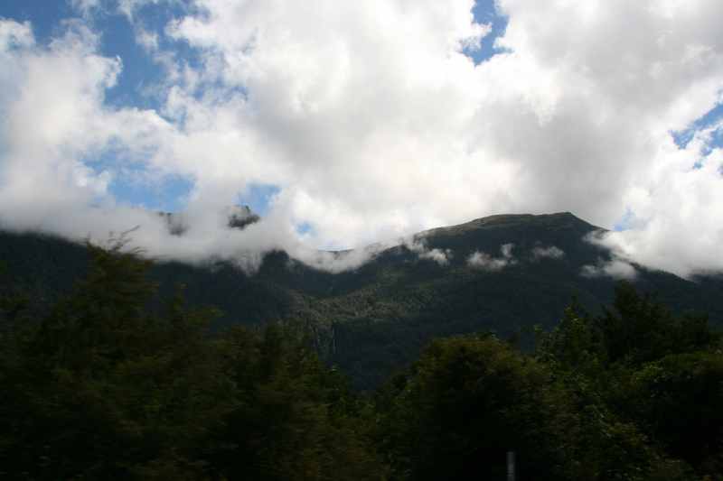 Nieuw-Zeeland 2011 - 1556